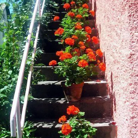 舍雷尔酒店 酒店 萨尔茨堡