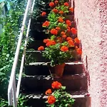 쉐러 호텔 잘츠부르크