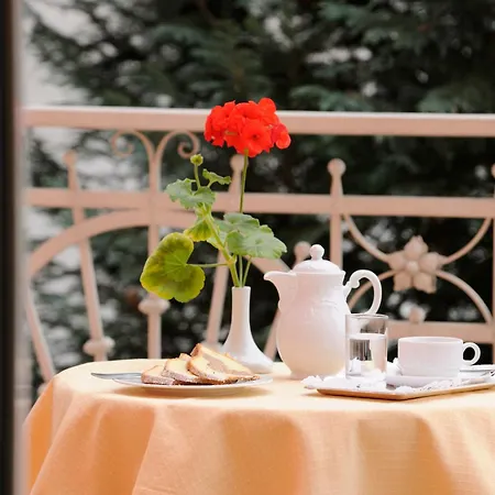 Scherer Зальцбург