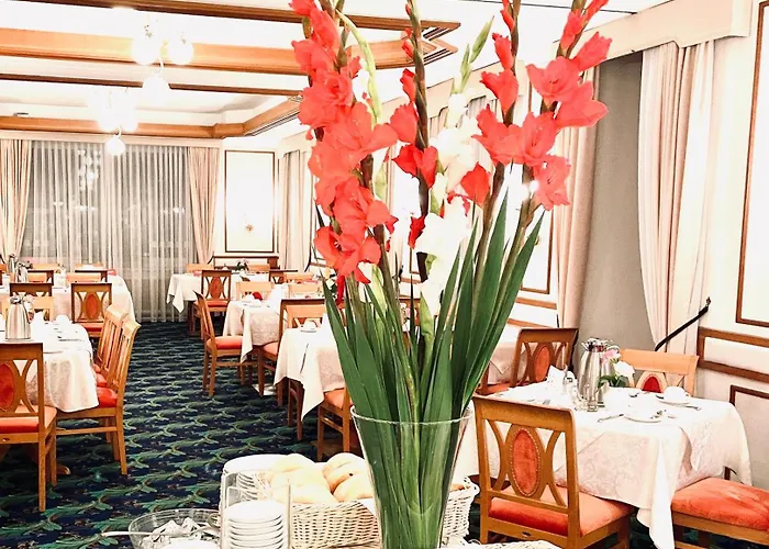 Отель Scherer 4*