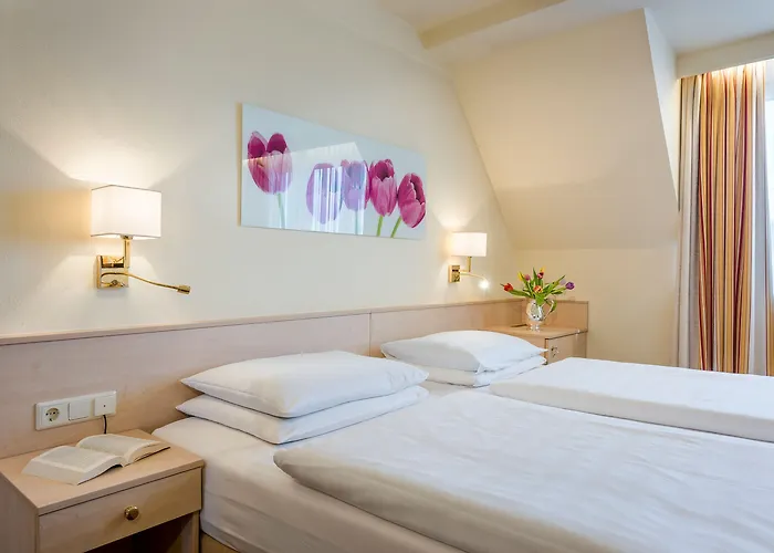 Scherer Зальцбург