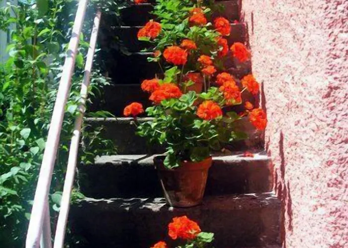 Scherer Hotel Salisburgo